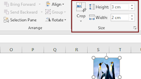 Mengatur Ukuran Gambar Ke 3 x 2 cm ( Pas Fhoto ) Dalam Excel